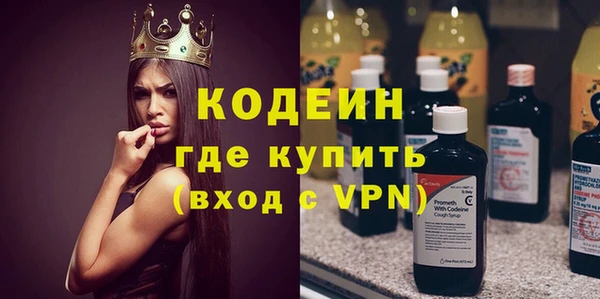 дживик Бронницы