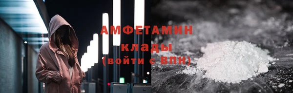 ГАЛЛЮЦИНОГЕННЫЕ ГРИБЫ Верея