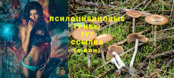 ГАЛЛЮЦИНОГЕННЫЕ ГРИБЫ Верея