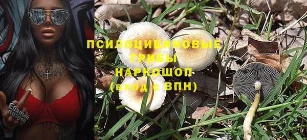 гидропоника Верхнеуральск