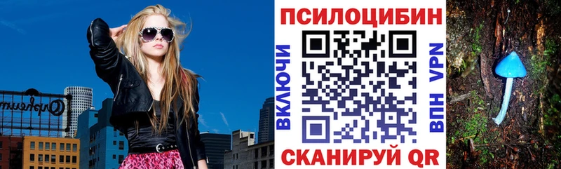 наркотики Калач-на-Дону blacksprut Псилоцибиновые грибы Psilocybine cubensis